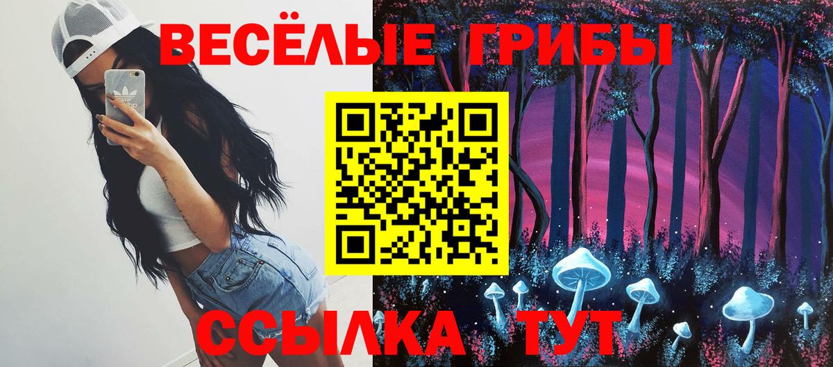 Псилоцибиновые грибы прущие грибы Ефремов